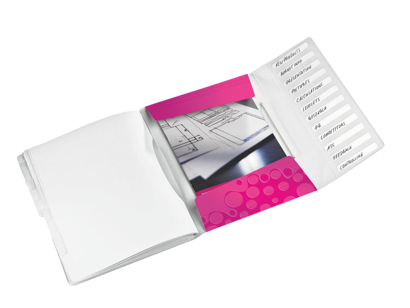 LEITZ Ordnungsmappe DIN A4 12-Fach pink