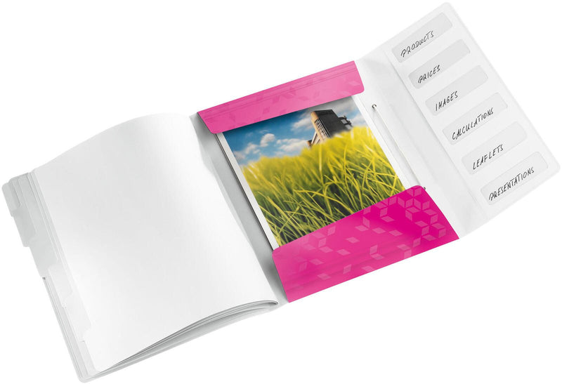 LEITZ Ordnungsmappe DIN A4 6-Fach pink