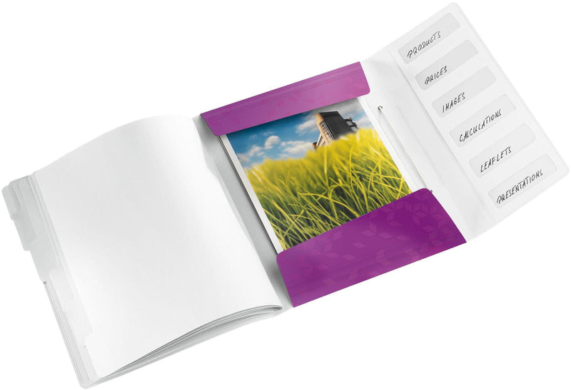 LEITZ Ordnungsmappe DIN A4 6-Fach violett