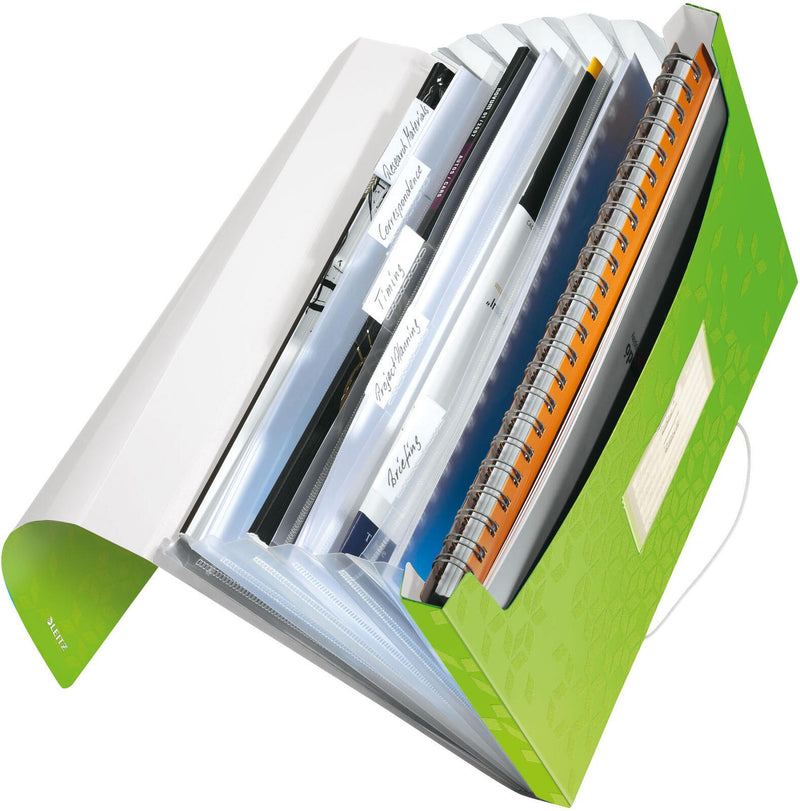 LEITZ Fächermappe DIN A4 6-Fach grün