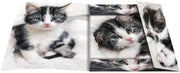 RNK-Verlag Zeichenmappe A3 Katze