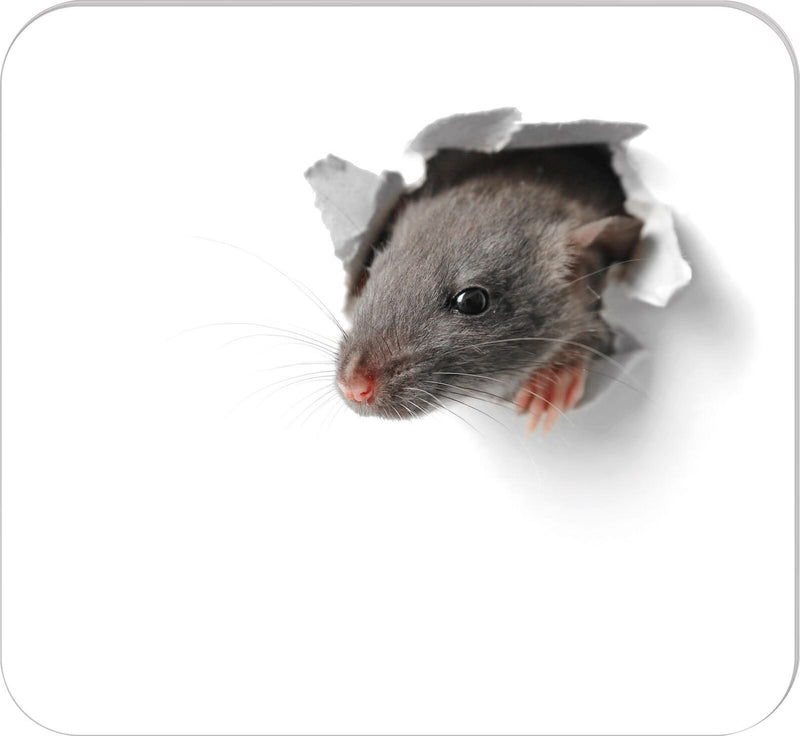 RNK-Verlag Mousepad-Notizblock 24,0 x 22,0 cm weiß/grau