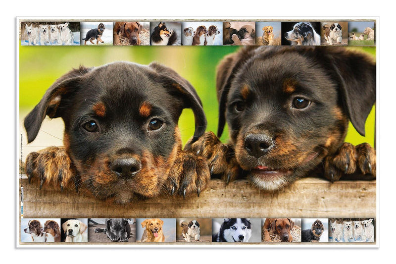 HERMA Schreibtischunterlagen 55,0 x 35,0 cm Hunde
