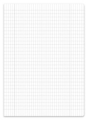 Staufen® Schulheft DIN A4 16 Blatt