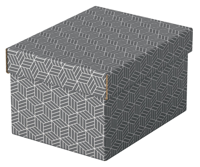 Esselte Aufbewahrungsboxen Home 6,5 l - 20,0 x 25,5 x 15,0 cm grau