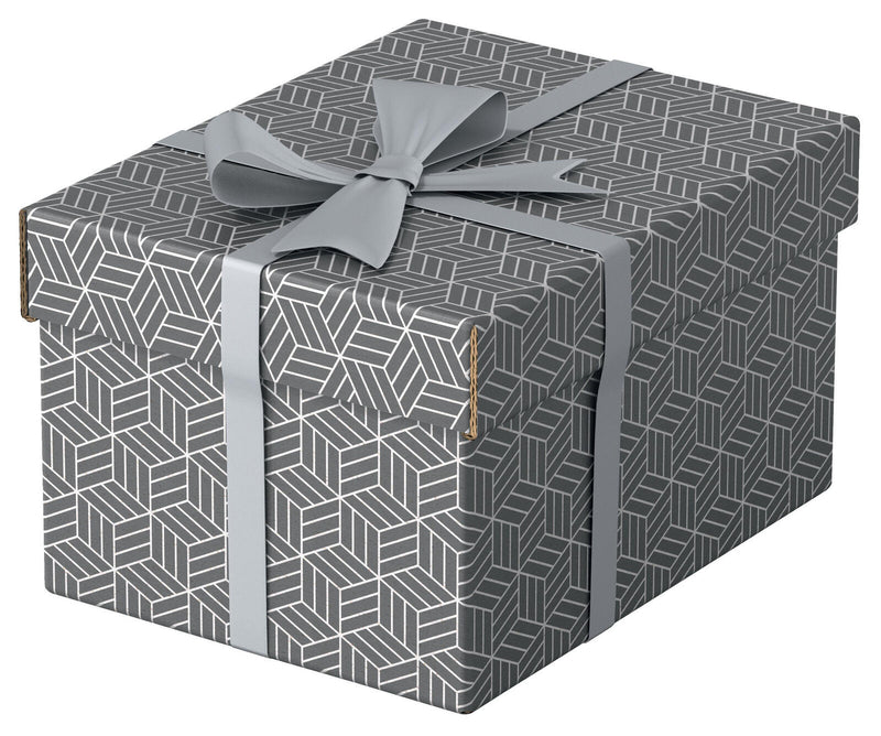 Esselte Aufbewahrungsboxen Home 6,5 l - 20,0 x 25,5 x 15,0 cm grau