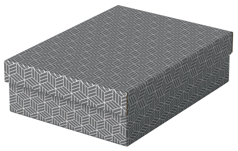 Esselte Aufbewahrungsboxen Home 8,0 l - 26,5 x 36,0 x 10,0 cm grau