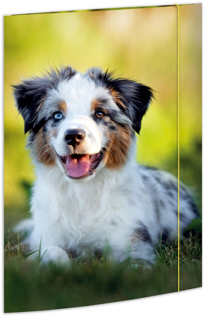 RNK-Verlag Zeichenmappe A3 Hund