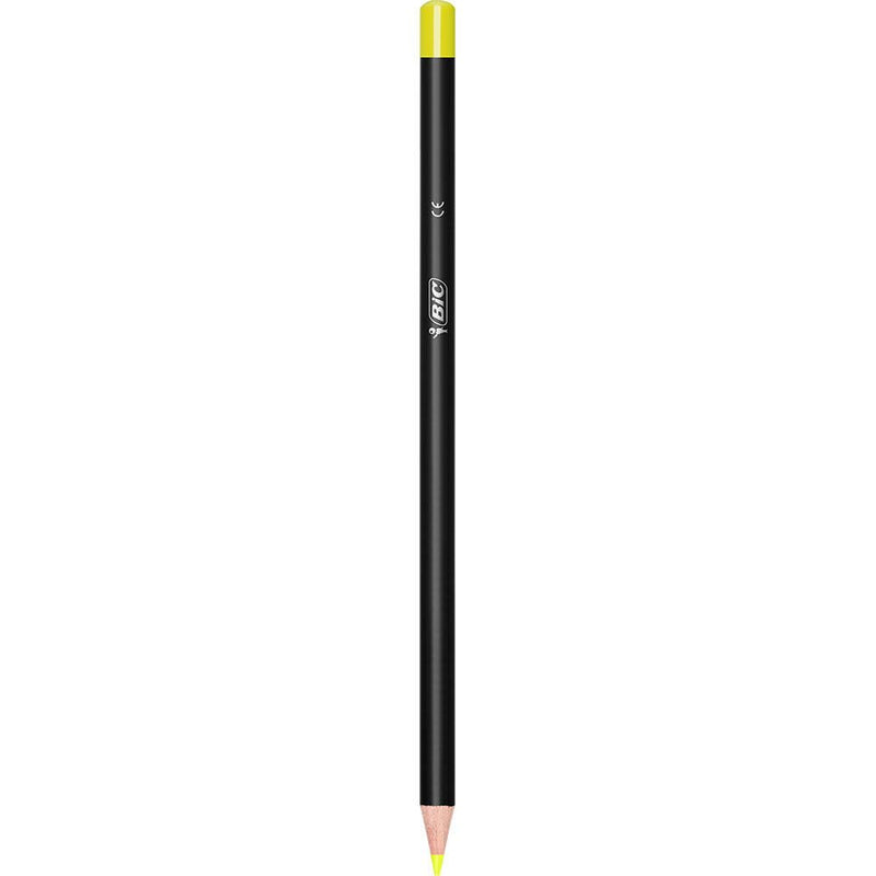 BIC® Buntstifte Mehrfarbig