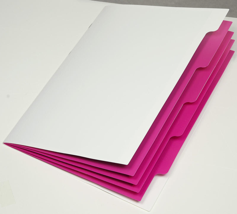 PAGNA Ordnungsmappen DIN A4 5-Fach 1x weiß-hellblau, hellgrün, orange, pink, lila