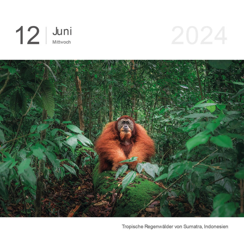 KUNTH Tischkalender Tagesabreißkalender Das Erbe der Welt 2024 Bilder