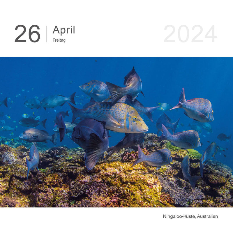 KUNTH Tischkalender Tagesabreißkalender Das Erbe der Welt 2024 Bilder