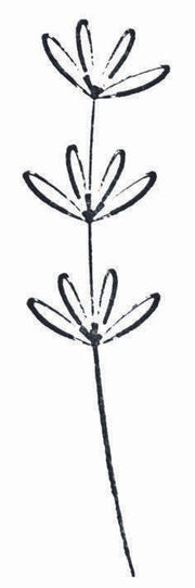 artoz Motivstempel Blume