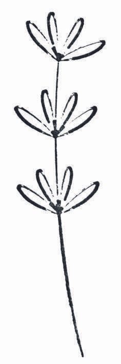 artoz Motivstempel Blume