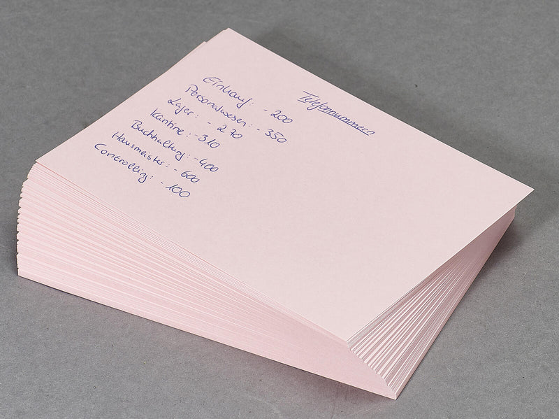 RNK-Verlag Karteikarten DIN A6 blanko rosa
