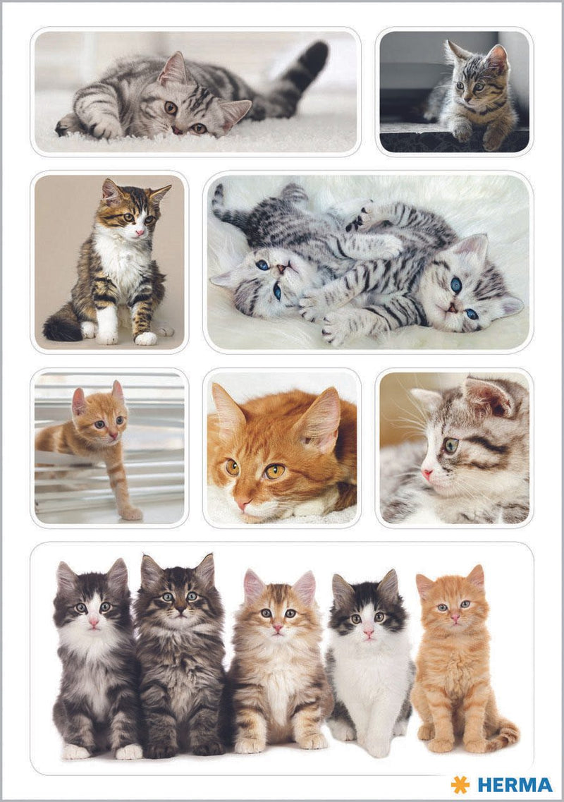 HERMA Aufkleber Katzen