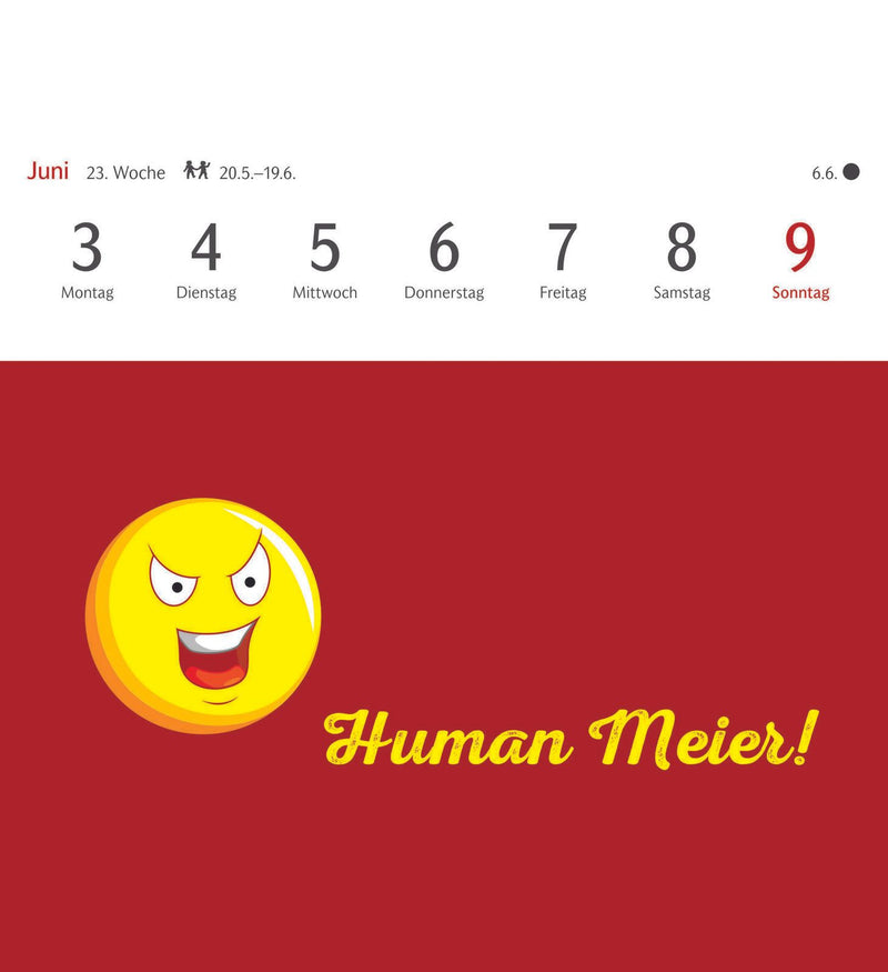 Harenberg Postkartenkalender Now I Know 2024