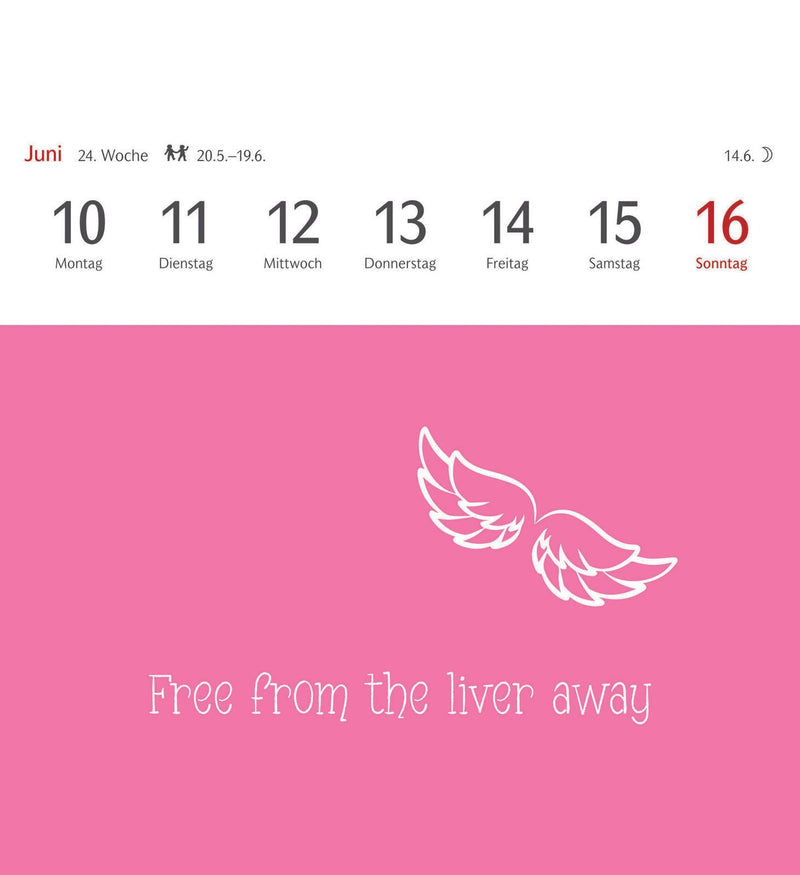 Harenberg Postkartenkalender Now I Know 2024