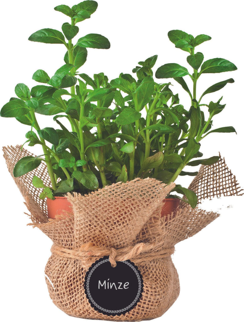folia Geschenkanhänger schwarz