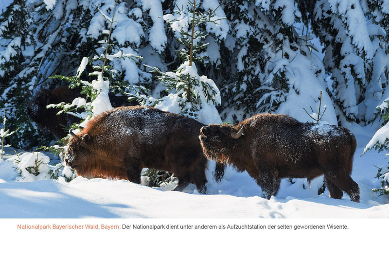 Kunth Tischquerkalender KUNTH Tischkal.Deutschland 24