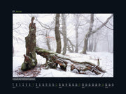 Kunth Monats-Wandkalender 60,0 x 45,0 cm