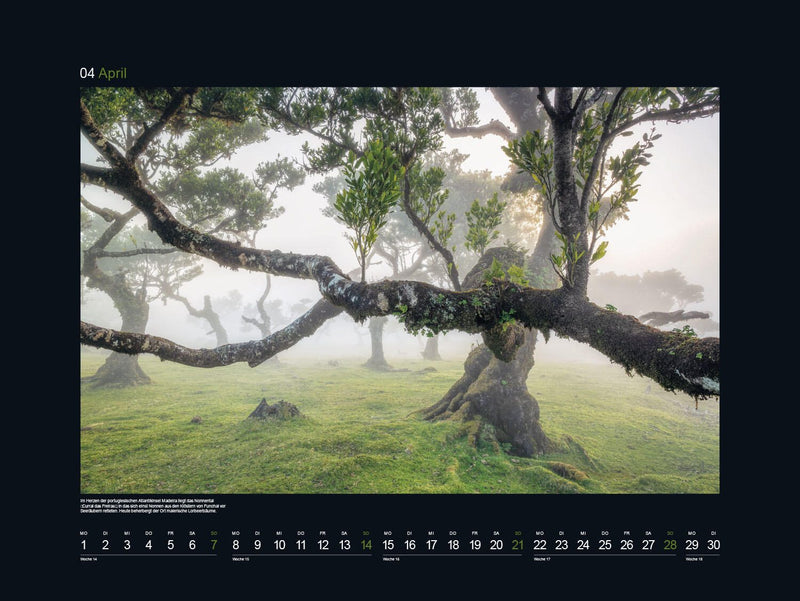 Kunth Monats-Wandkalender 60,0 x 45,0 cm
