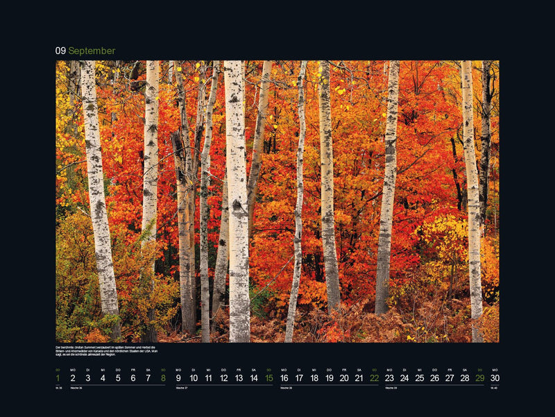 Kunth Monats-Wandkalender 60,0 x 45,0 cm