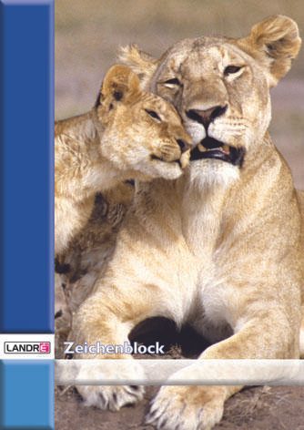 LANDRÉ® Zeichenblock DIN A4 10 Blatt