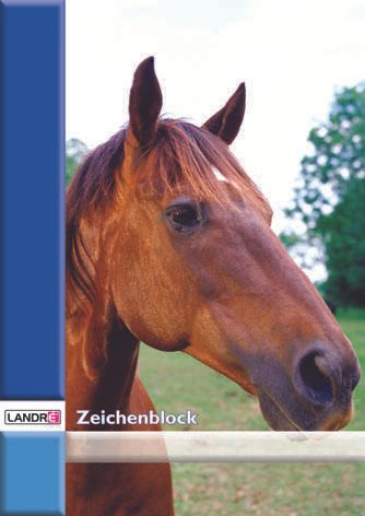LANDRÉ® Zeichenblock DIN A4 20 Blatt