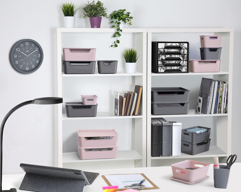 cep Aufbewahrungsbox Bella 4,22 l - 18,0 x 28,0 x 11,0 cm grau