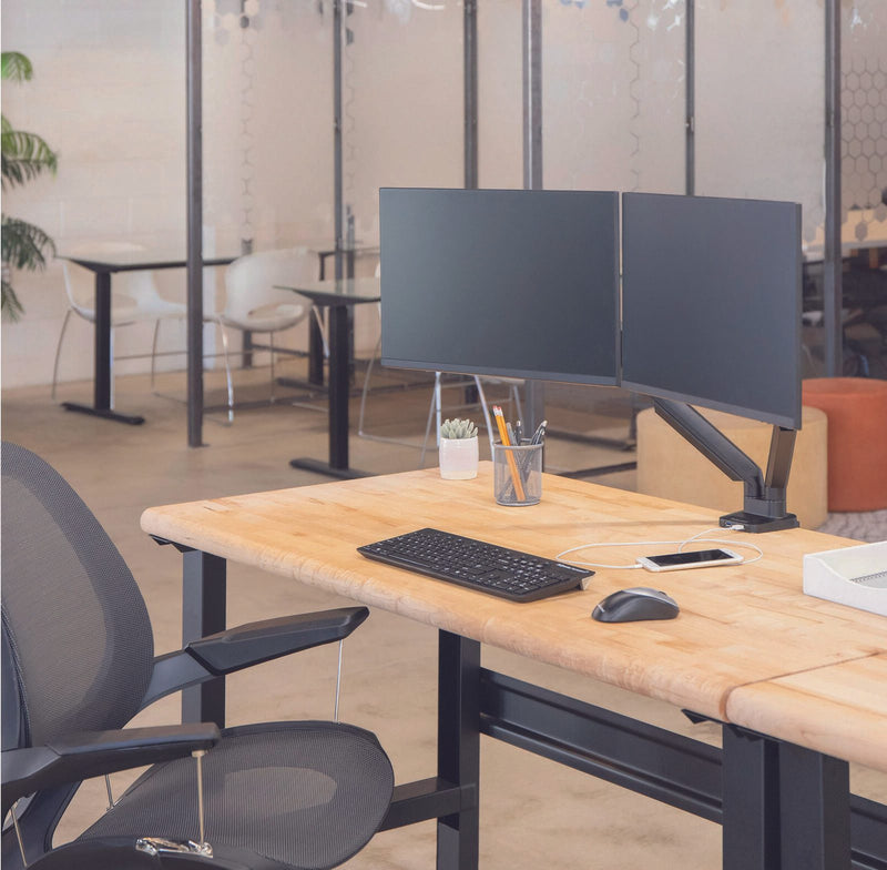 Fellowes Monitor-Halterung Platinum Dual schwarz