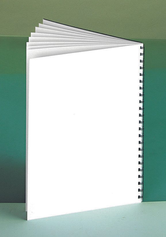 RENZ Rückwände für Bindemappen DIN A4 300 g/qm weiß