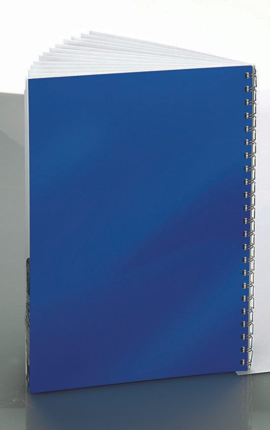 RENZ Rückwände für Bindemappen DIN A4 250 g/qm blau/weiß