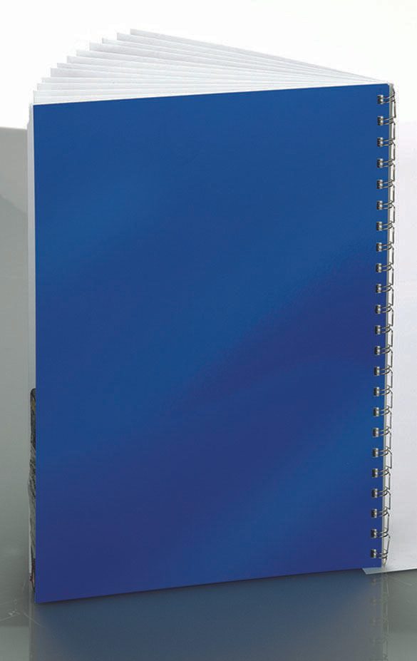 RENZ Rückwände für Bindemappen DIN A4 250 g/qm blau/weiß