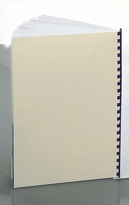 RENZ Rückwände für Bindemappen DIN A4 250 g/qm elfenbein