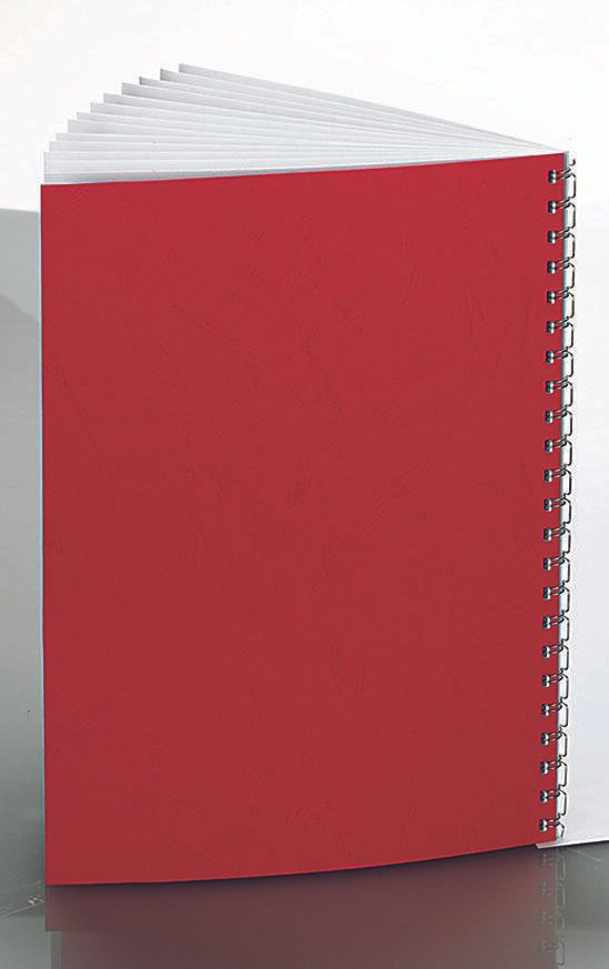 RENZ Rückwände für Bindemappen DIN A4 250 g/qm rot