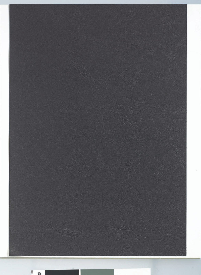 RENZ Rückwände für Bindemappen DIN A4 250 g/qm schwarz