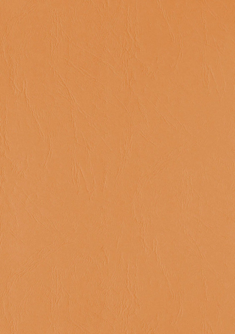LMG Rückwände für Bindemappen DIN A4 300 g/qm orange