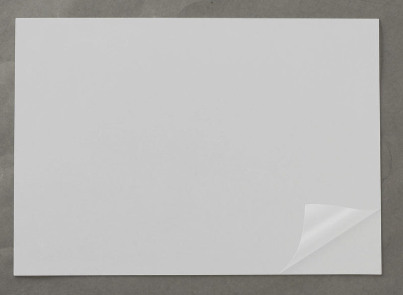 RENZ Deckfolien für Bindemappen DIN A4 0.5 mm transparent