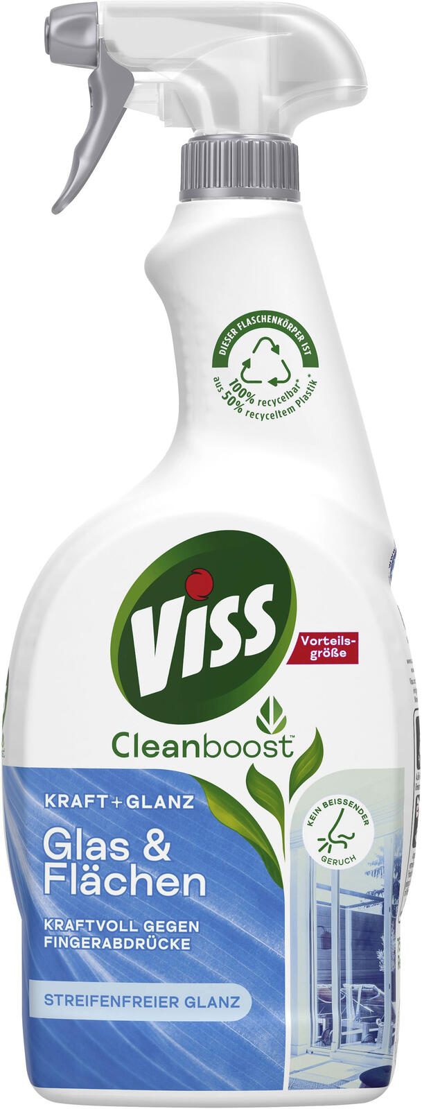 Viss PROFESSIONAL Glasreiniger 0,75 l