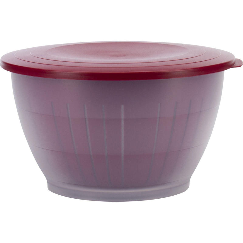 WESTMARK Olympia Schüssel 4,4 l transparent/rot