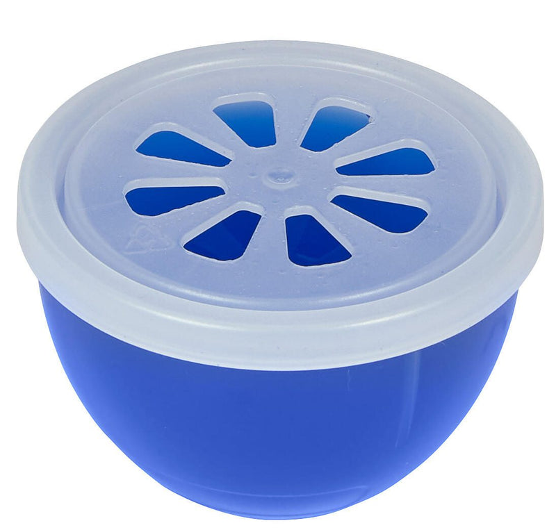 domol Kühlschrank-Frische frisch 40,0 g
