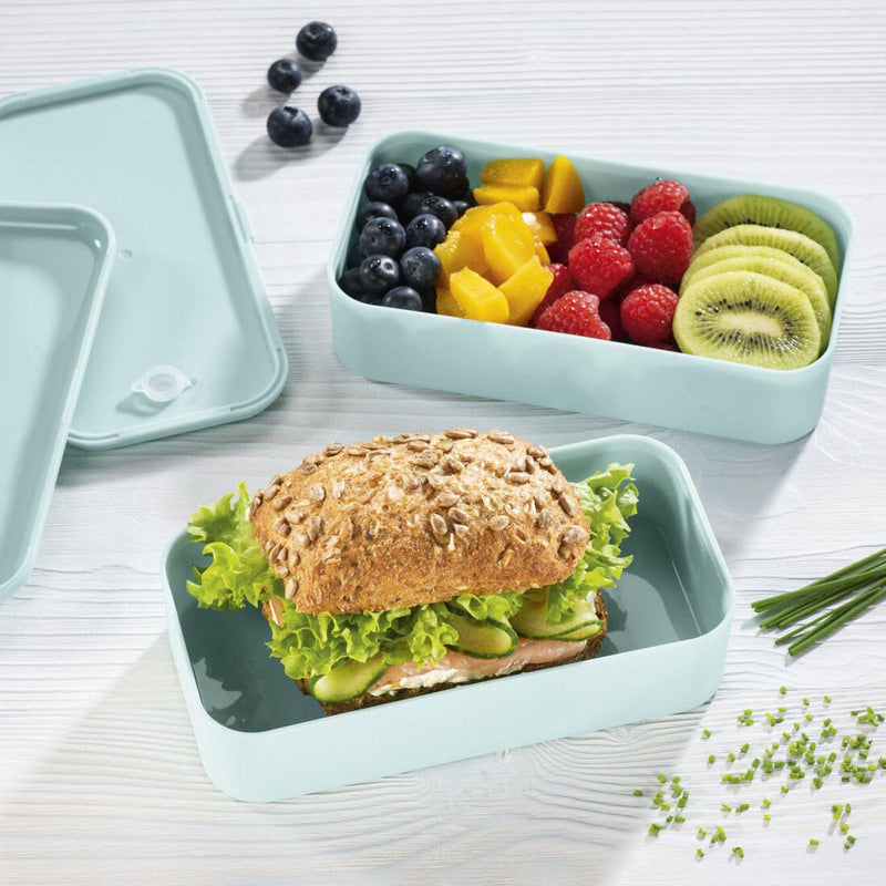 xavax® Lunchbox 4.4 cm hoch 500,0 ml pastellblau, grau