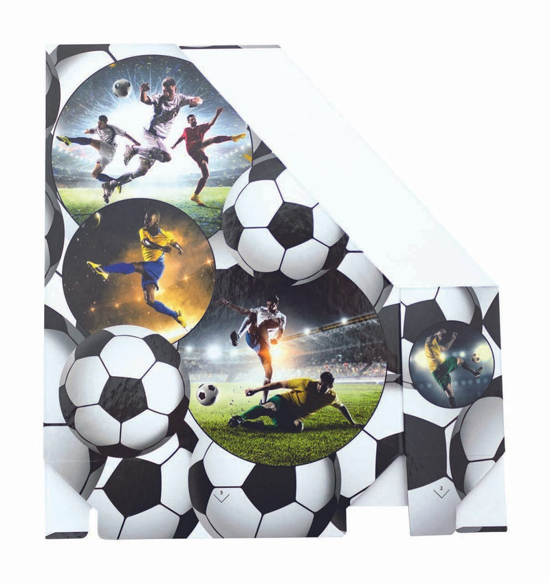 HERMA Stehsammler Karton Fußball , DIN A4