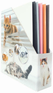 HERMA Stehsammler Karton Katzen , DIN A4