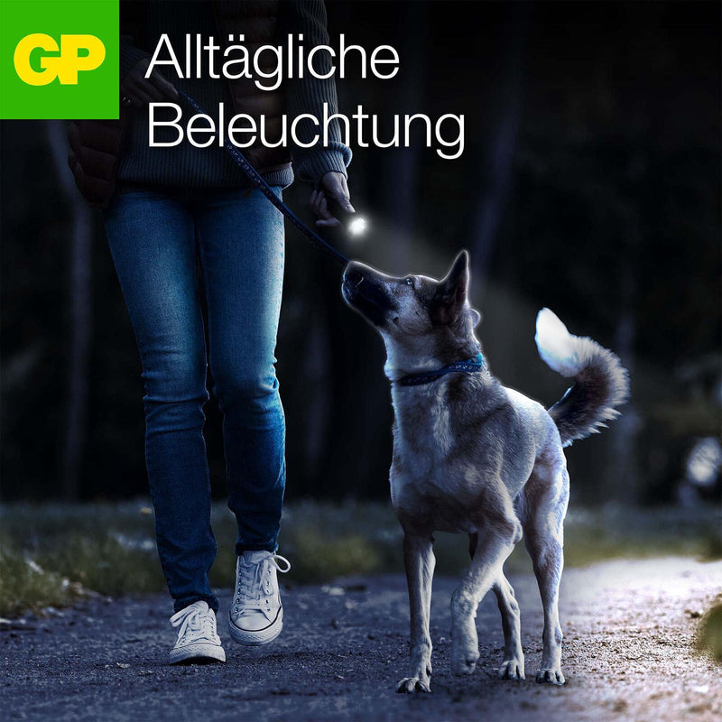 GP LED Taschenlampe C105