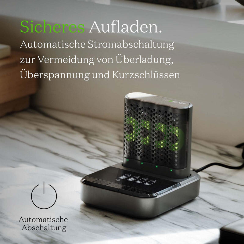 GP USB-Akku-Schnellladegerät P461