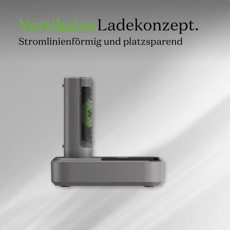 GP USB-Akku-Schnellladegerät P461