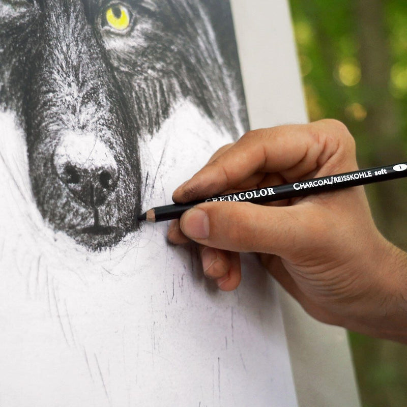 Brevillier's CRETACOLOR Wolf-Edition Zeichenkohle Mehrfarbig