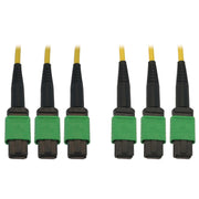Eaton Tripp Lite Series 40/100G Singlemode 9/125 OS2 Fiber Optic Kabel (3x8F MTP/MPO-APC F/F), 23 m